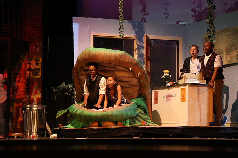 Random Rippling - Little Shop of Horrors at BRHS