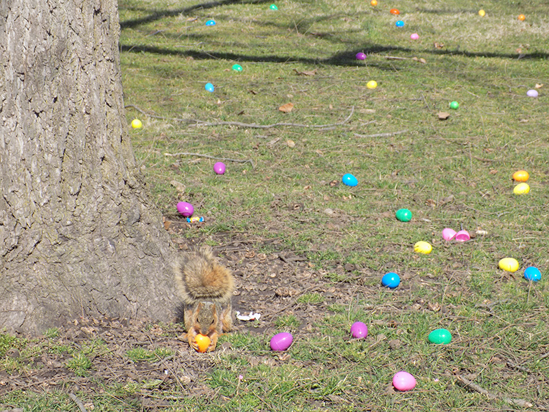 Random Rippling - Easter Egg hunt