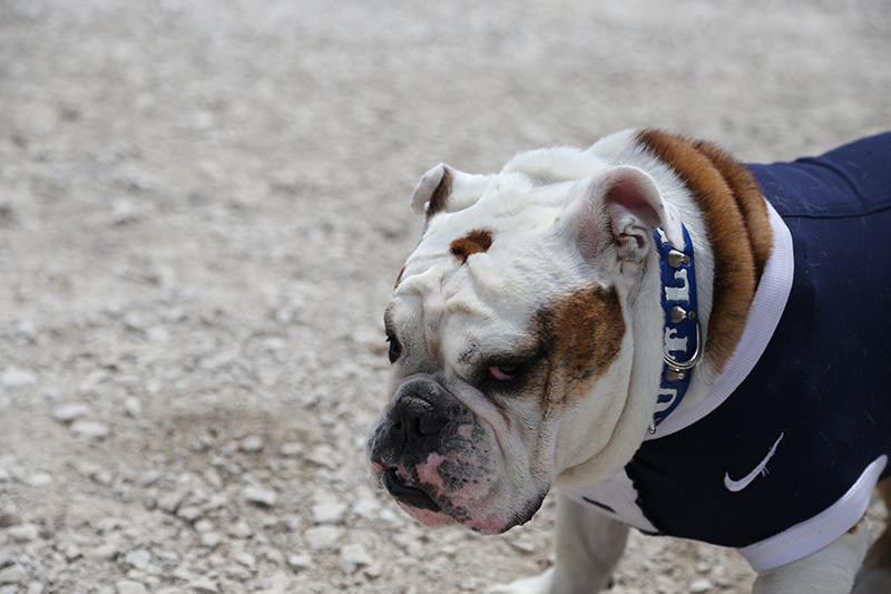 Random Rippling - Groundbreaking at Butler