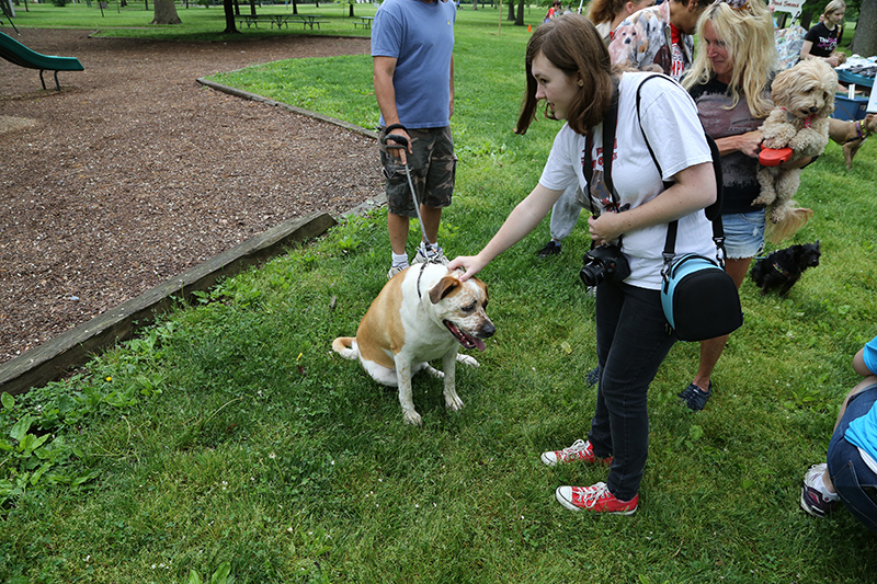 Random Rippling - Dog Olympics