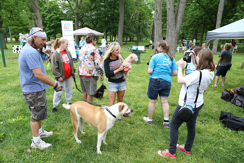 Random Rippling - Dog Olympics