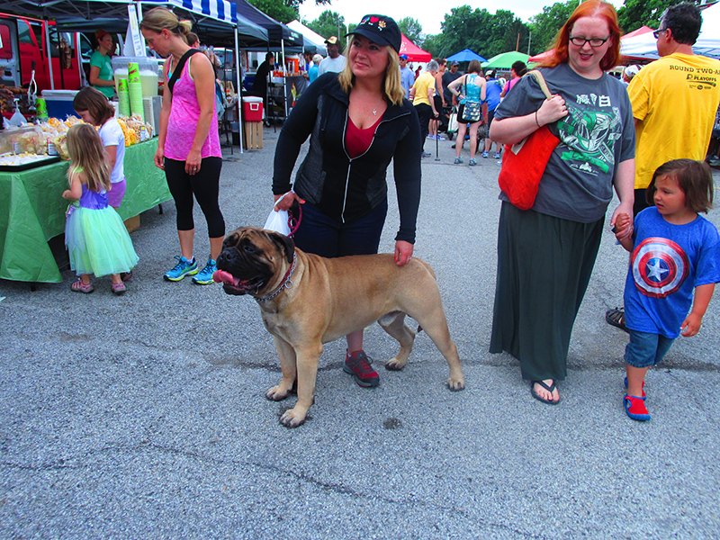 Sammy the Bullmastiff enjoyed the beautiful weather with his human Cheryl Townsend.