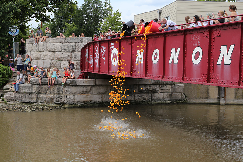 DUCK RACE 2015