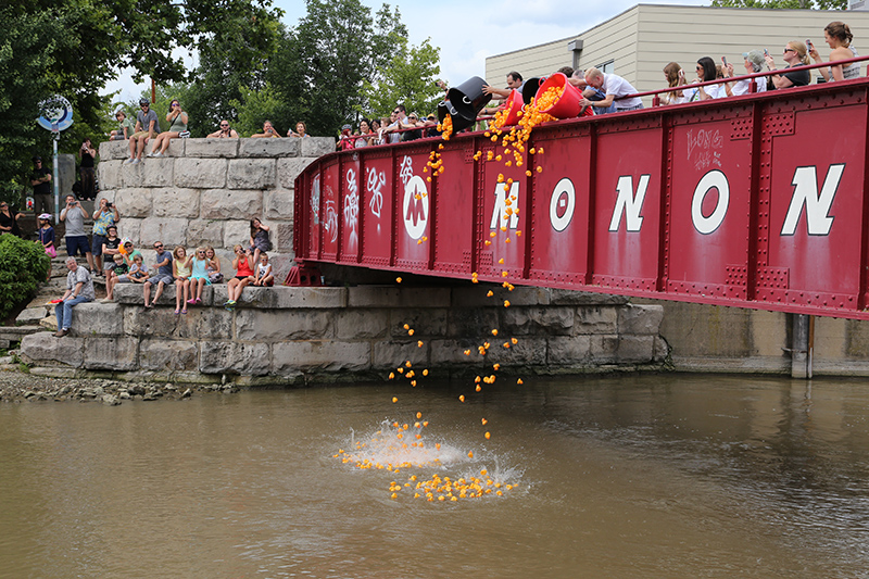 DUCK RACE 2015