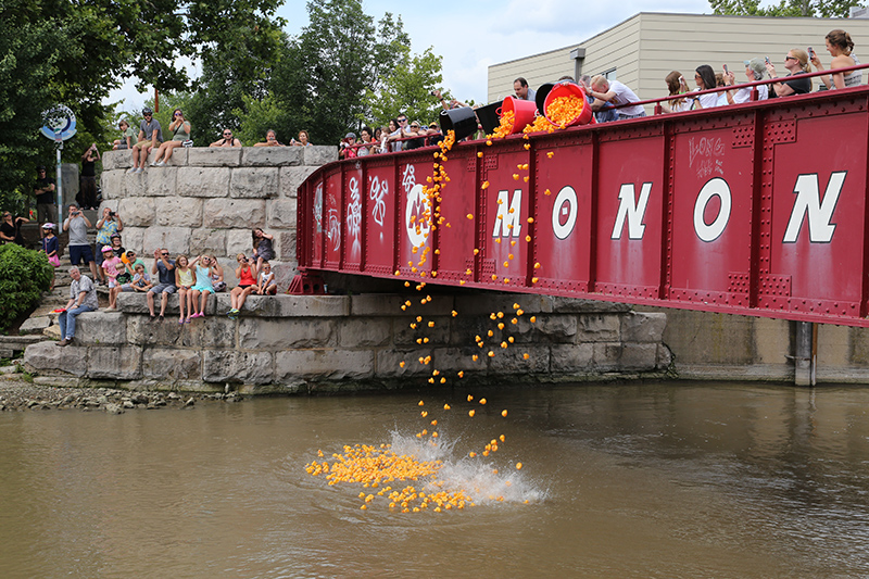 DUCK RACE 2015