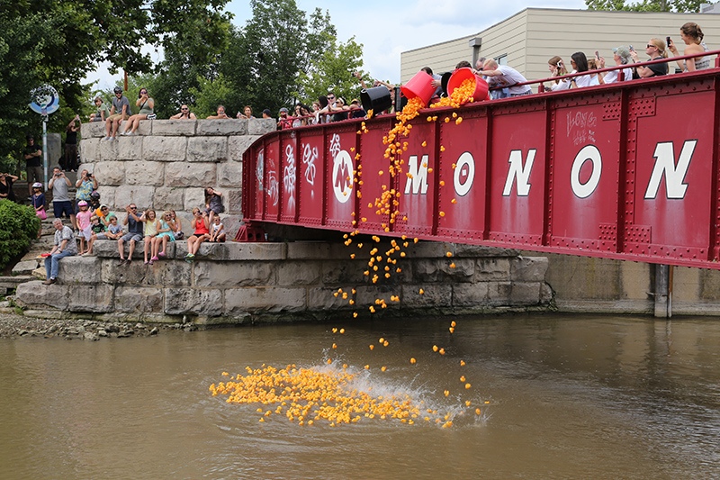 DUCK RACE 2015