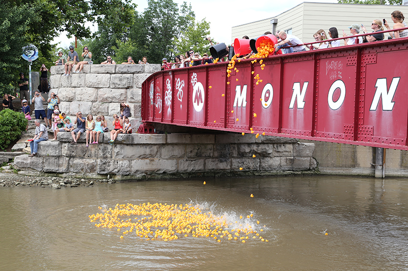 DUCK RACE 2015