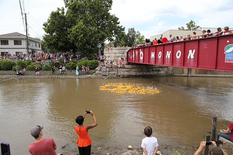 DUCK RACE 2015