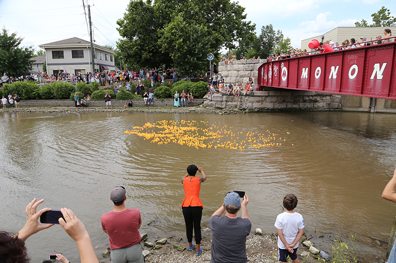 DUCK RACE 2015