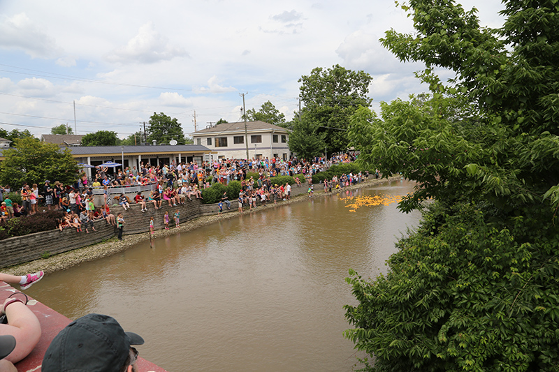 DUCK RACE 2015