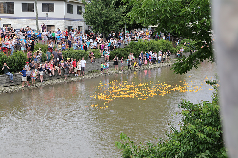 DUCK RACE 2015