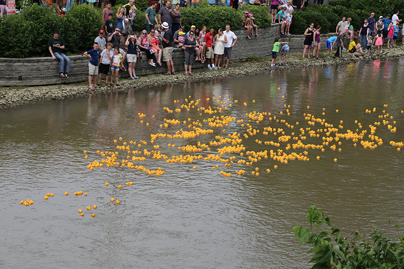 DUCK RACE 2015