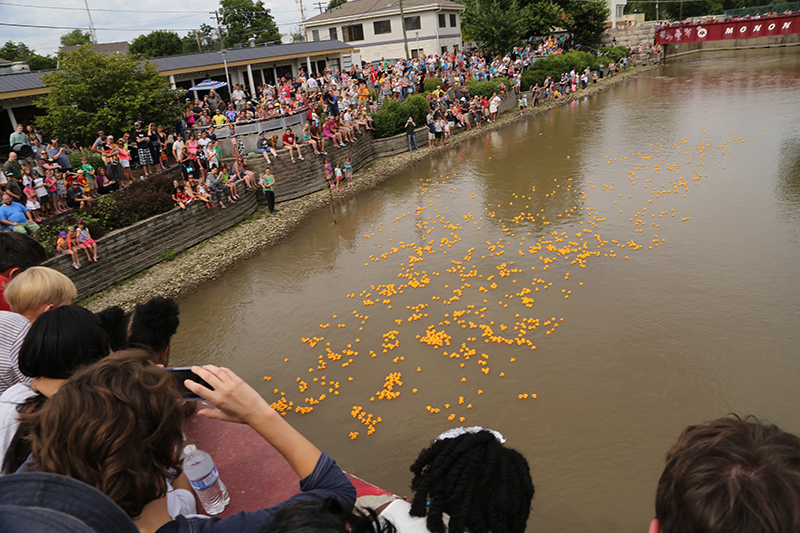 DUCK RACE 2015