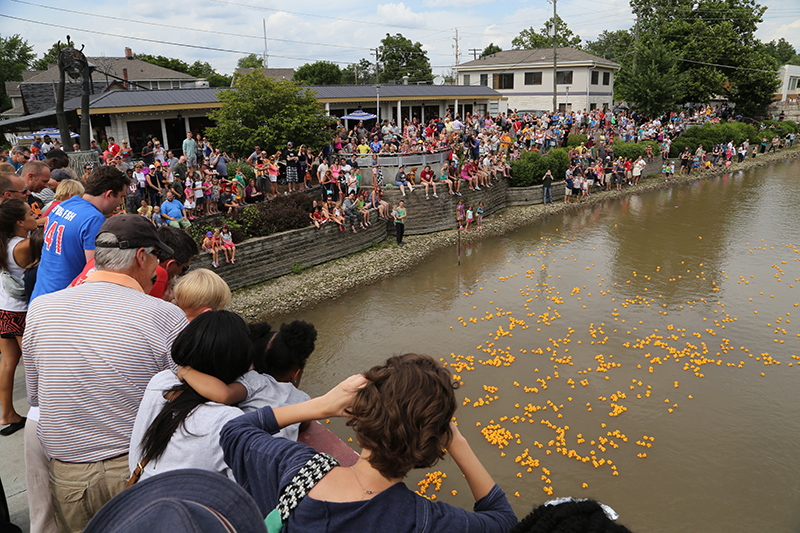 DUCK RACE 2015