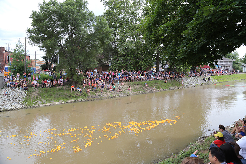 DUCK RACE 2015