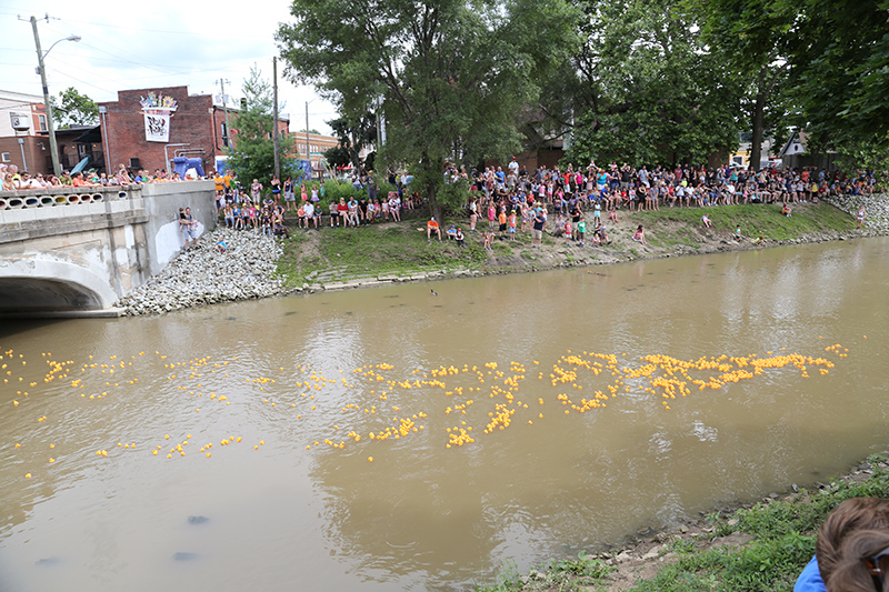 DUCK RACE 2015