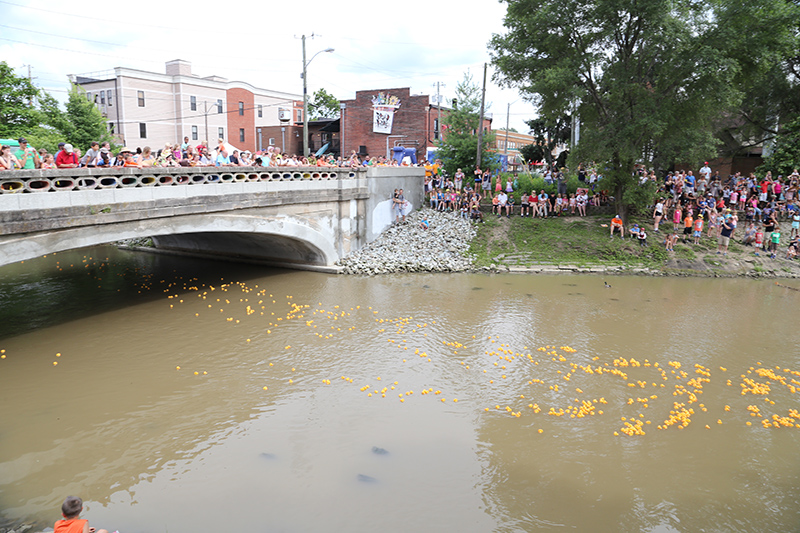 DUCK RACE 2015