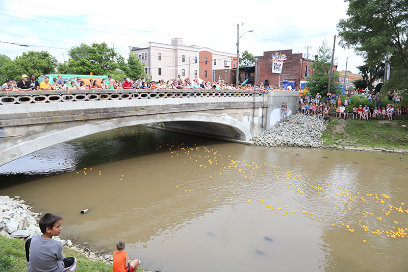 DUCK RACE 2015