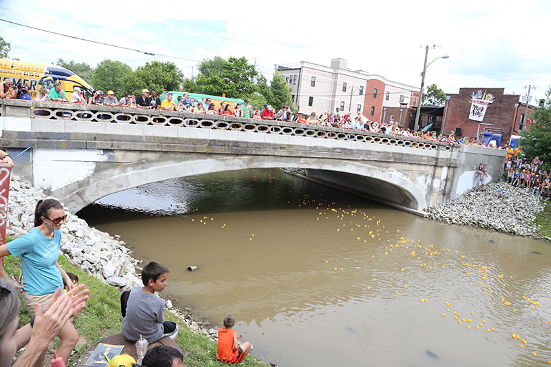 DUCK RACE 2015