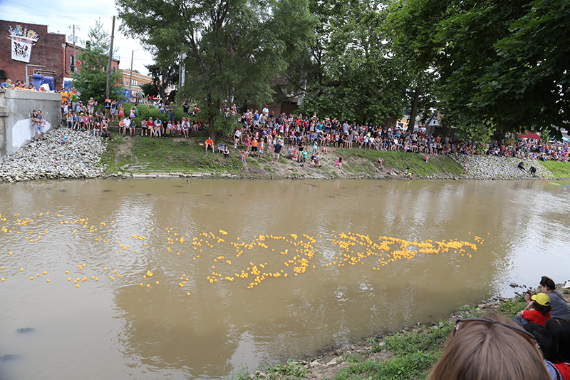 DUCK RACE 2015