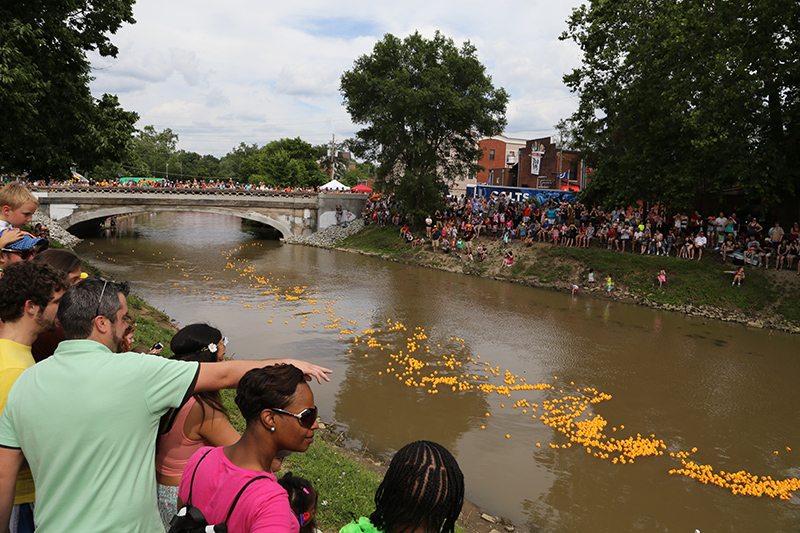 DUCK RACE 2015