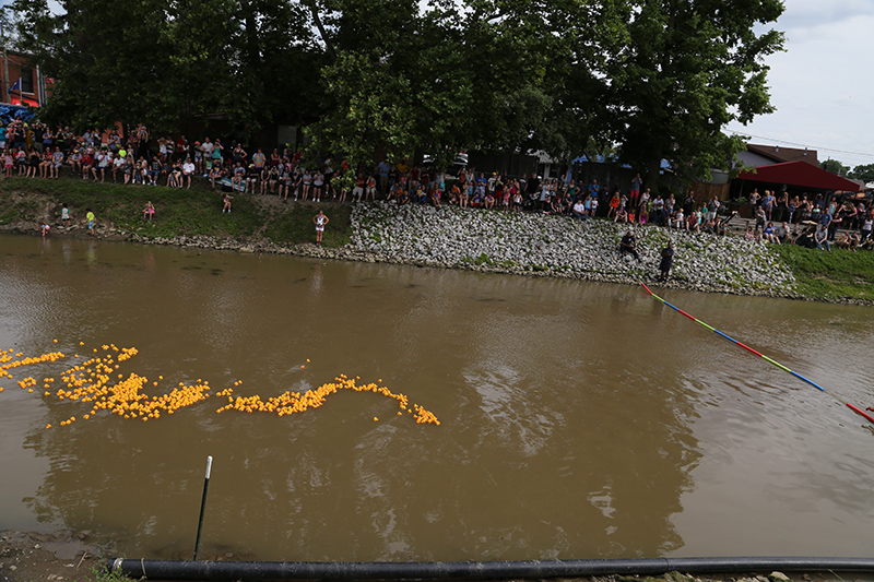 DUCK RACE 2015