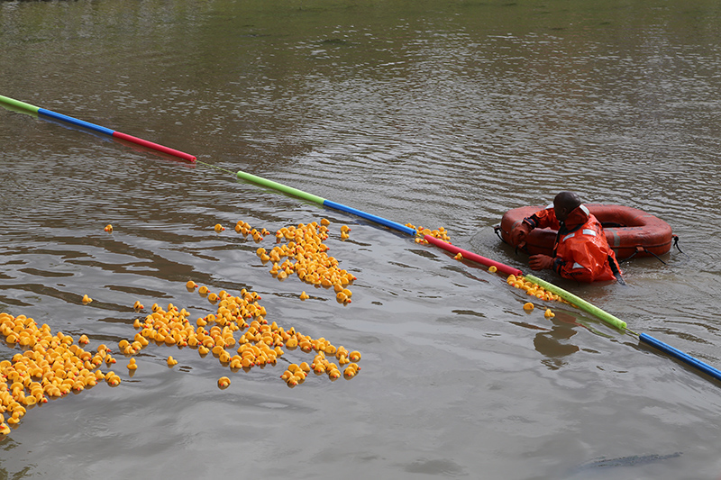 DUCK RACE 2015