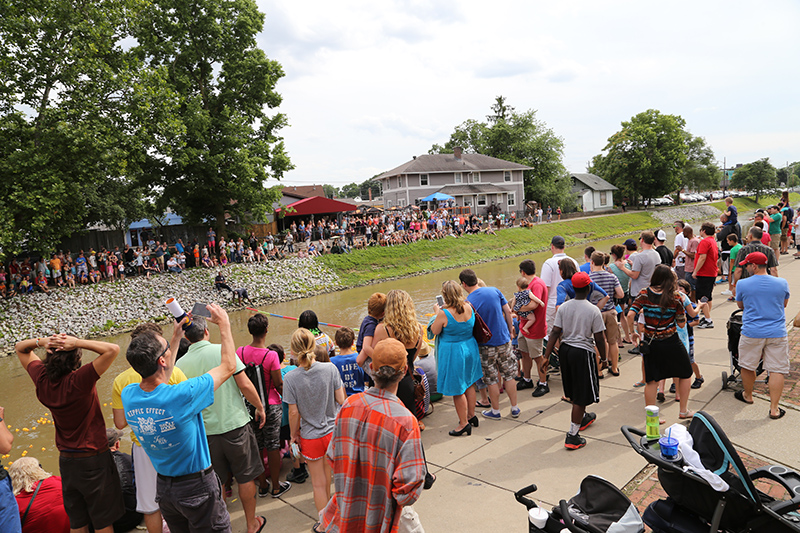 DUCK RACE 2015