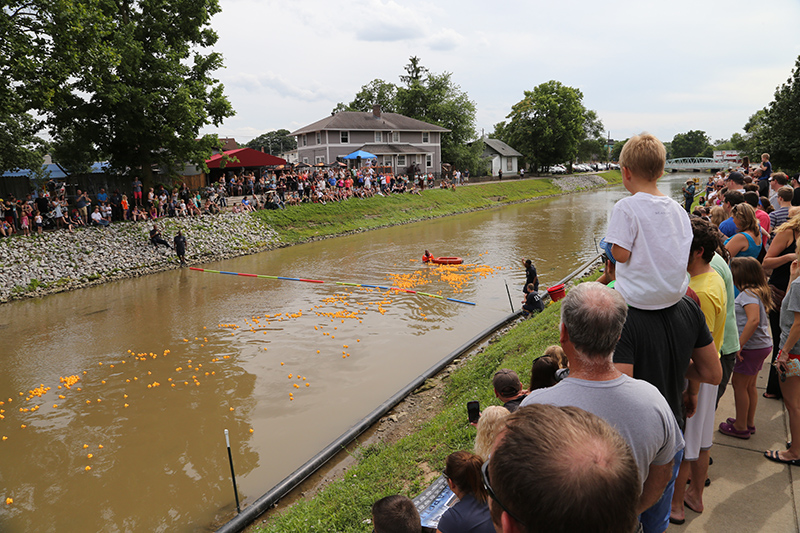 DUCK RACE 2015