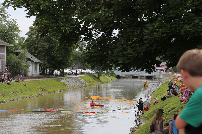 DUCK RACE 2015