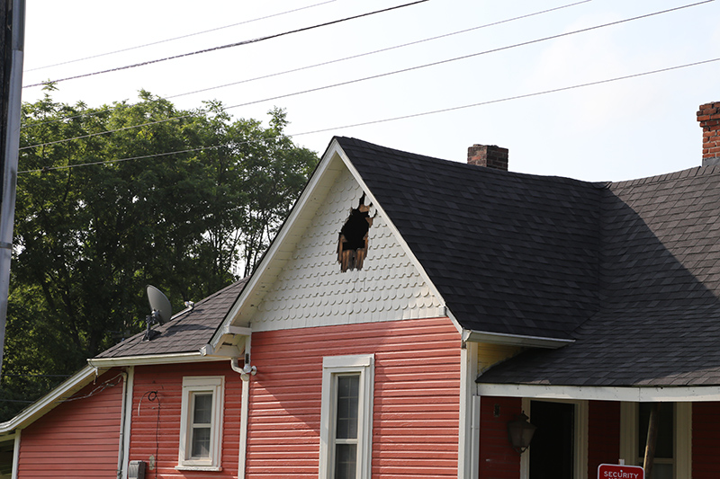 Random Rippling - Houses razed