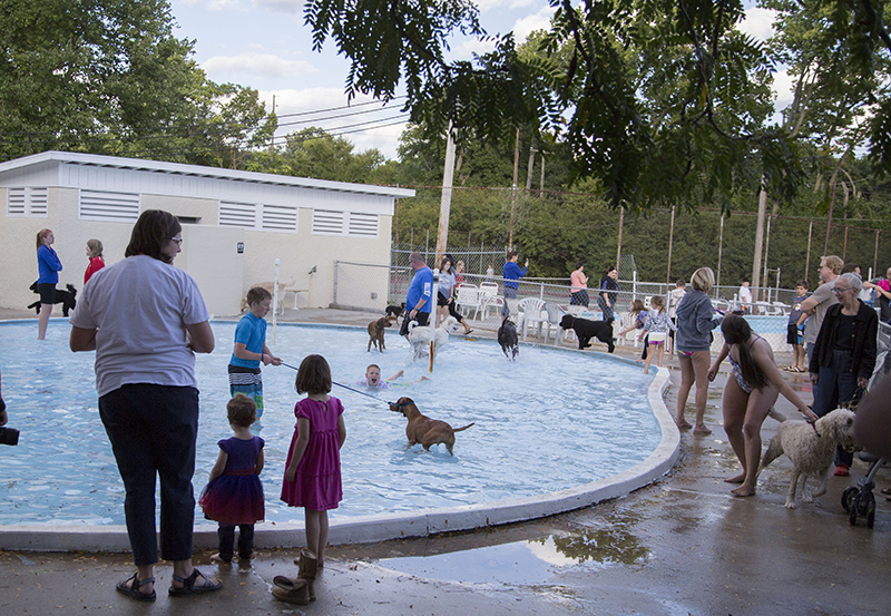 Random Rippling - annual dog swim