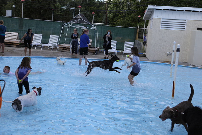 Random Rippling - annual dog swim