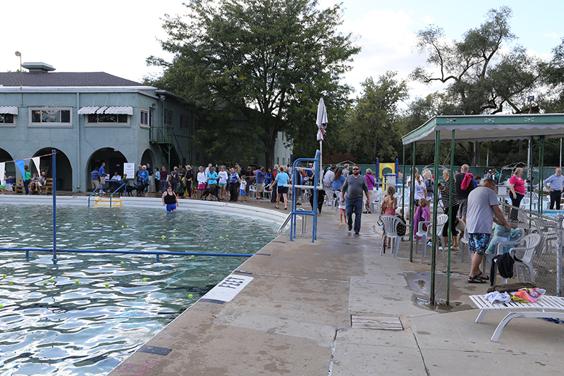 Random Rippling - annual dog swim