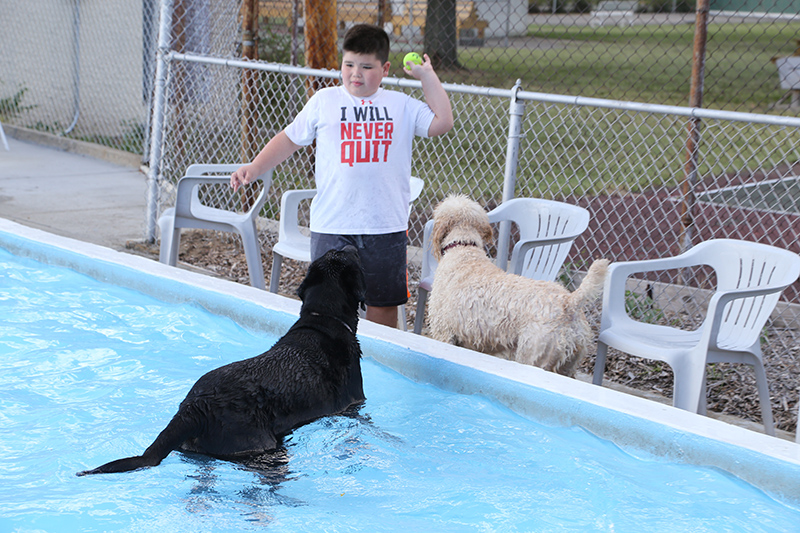 Random Rippling - annual dog swim