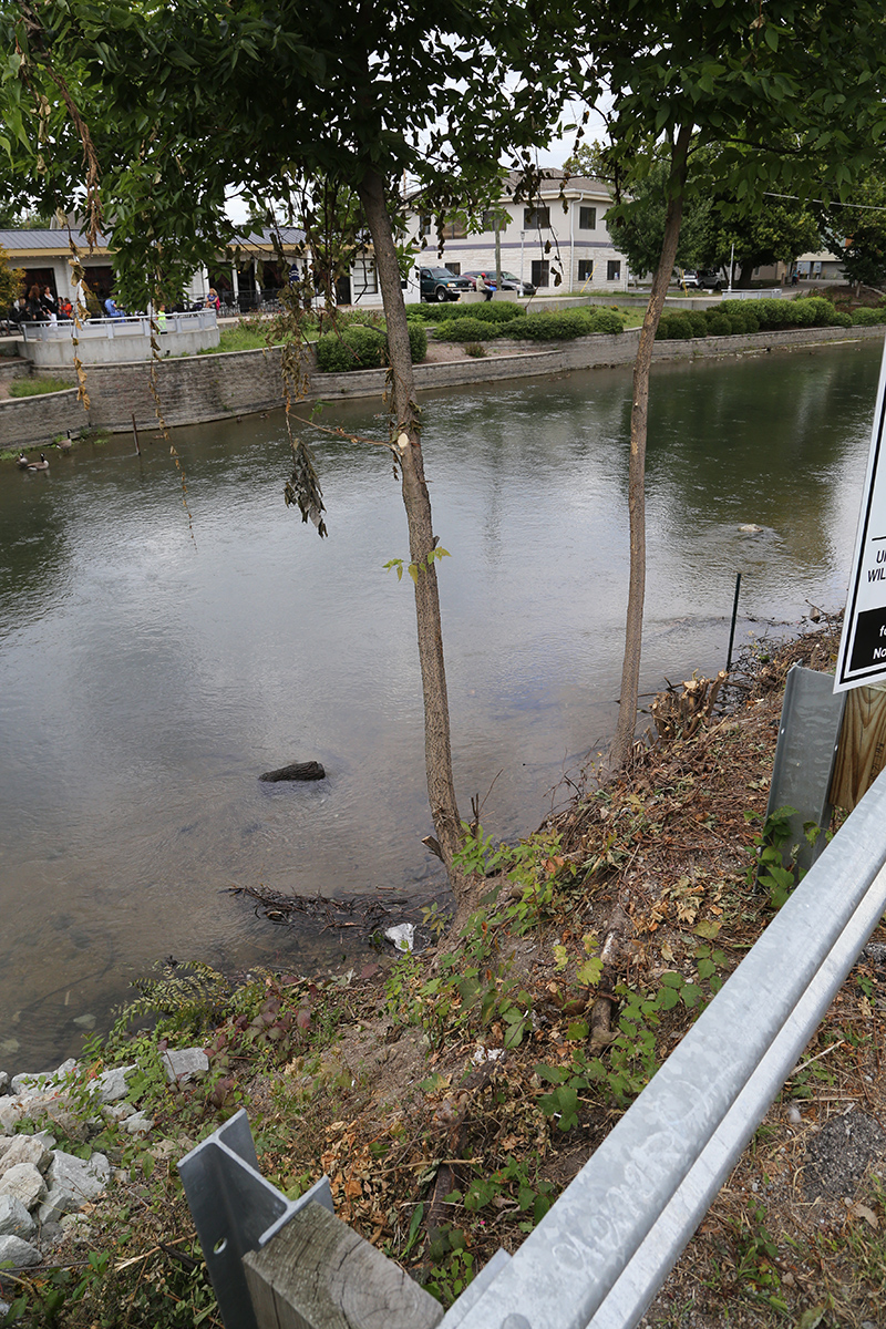 Random Rippling - brush on canal