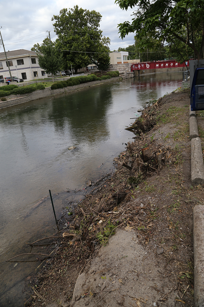 Random Rippling - brush on canal