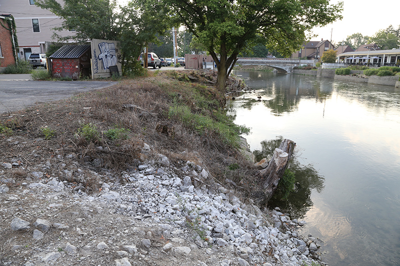 Random Rippling - brush on canal