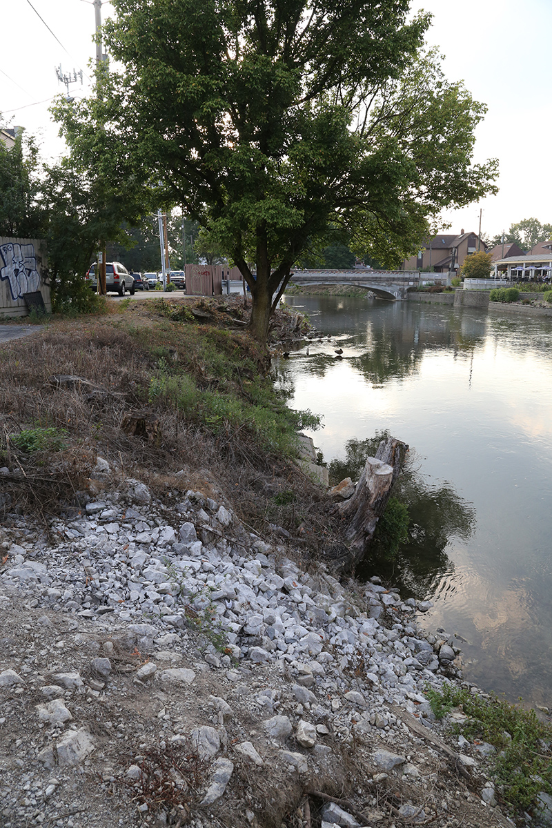 Random Rippling - brush on canal