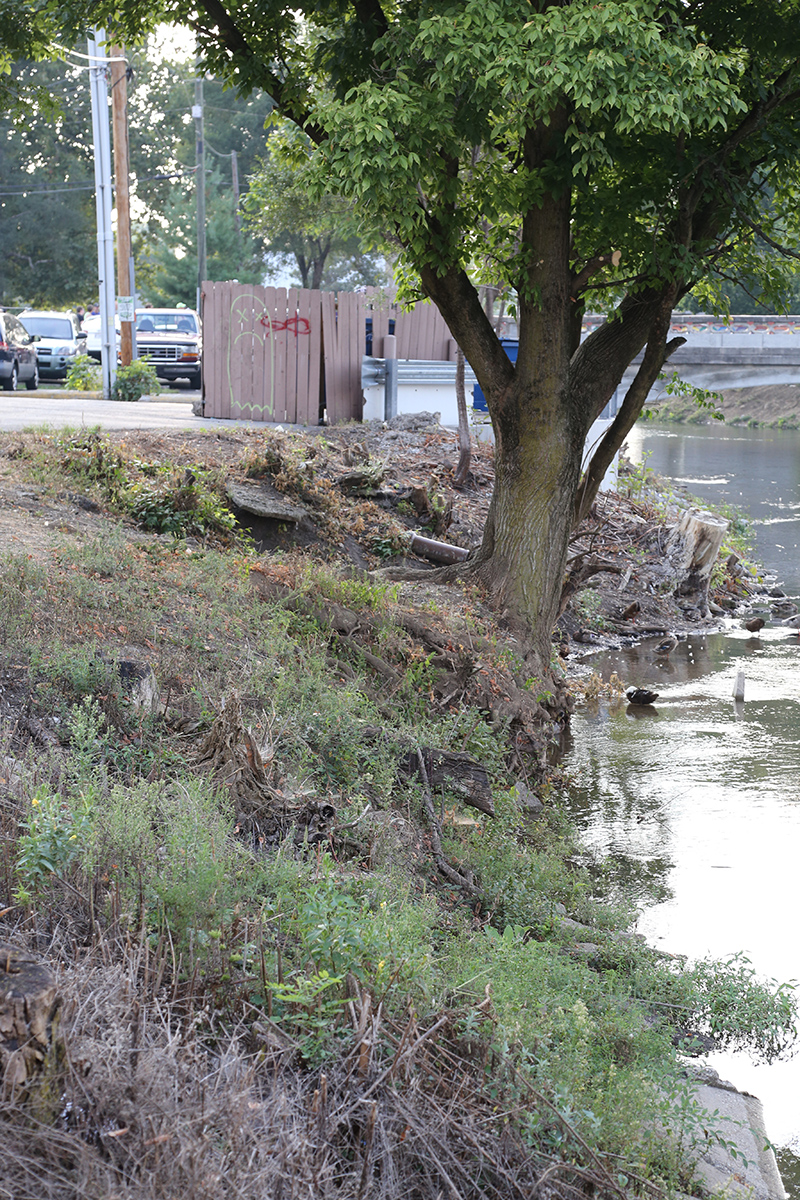 Random Rippling - brush on canal