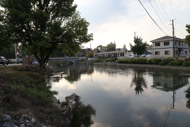 Random Rippling - brush on canal