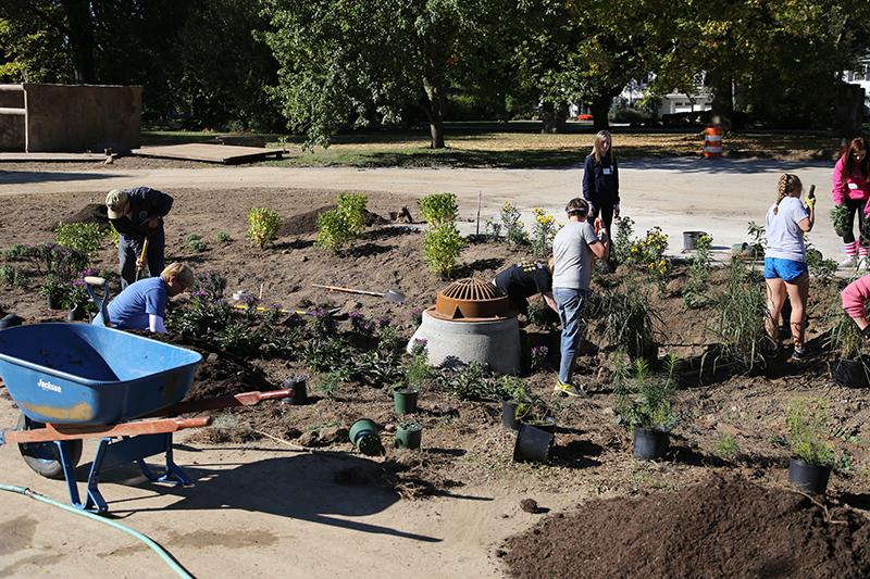 Random Rippling - Holliday Park 