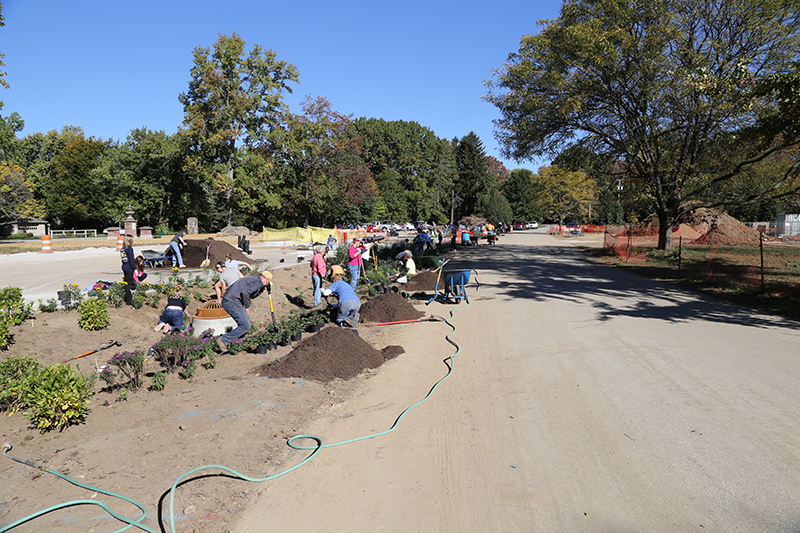 Random Rippling - Holliday Park 