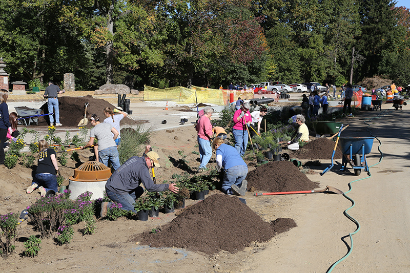 Random Rippling - Holliday Park 