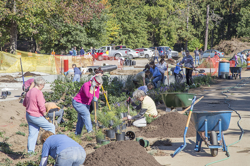 Random Rippling - Holliday Park 