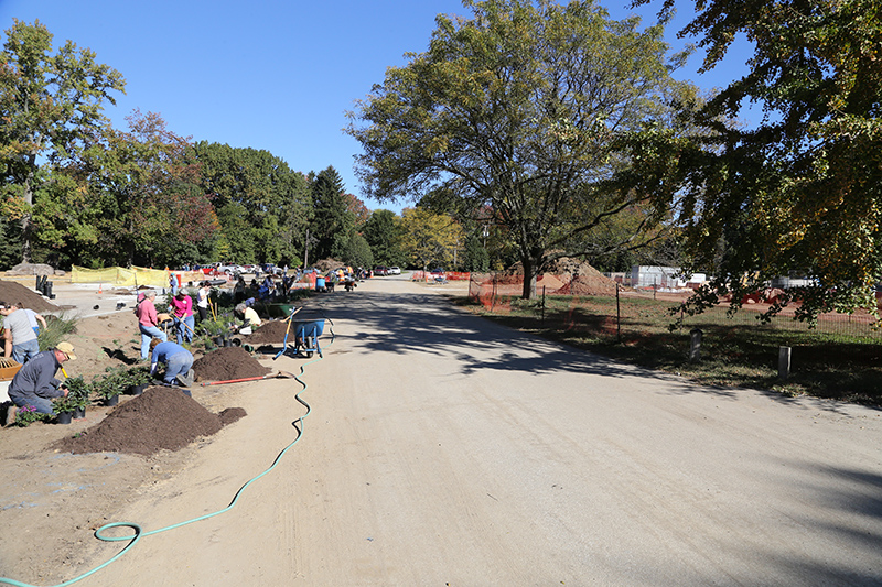 Random Rippling - Holliday Park 
