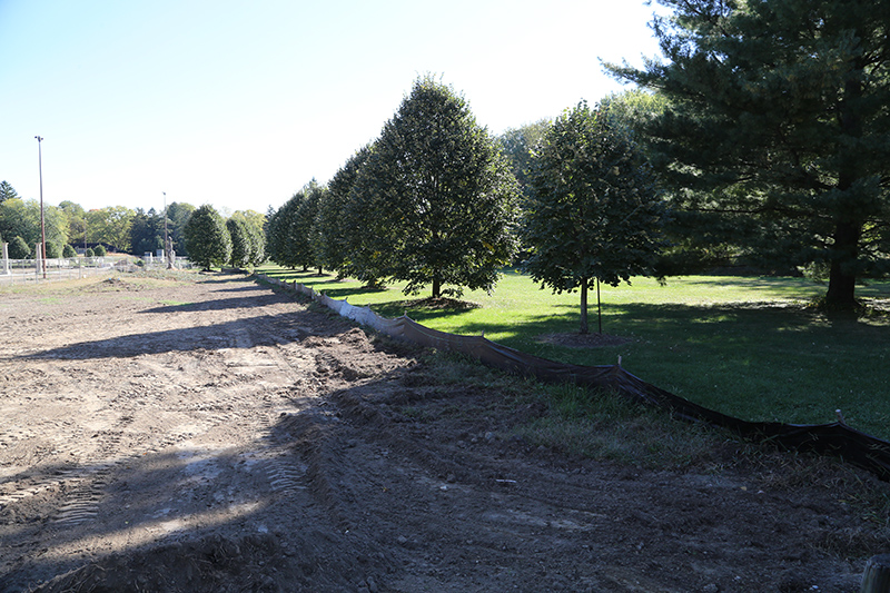 Random Rippling - Holliday Park 