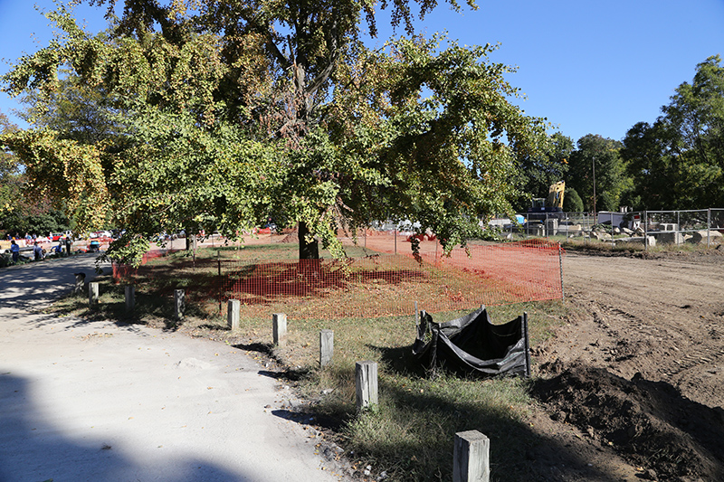 Random Rippling - Holliday Park 