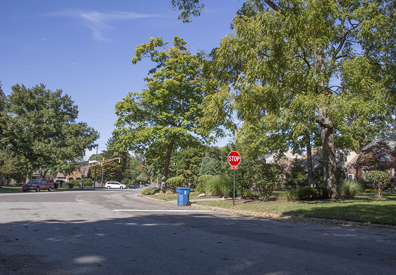 Random Rippling - New stop sign 