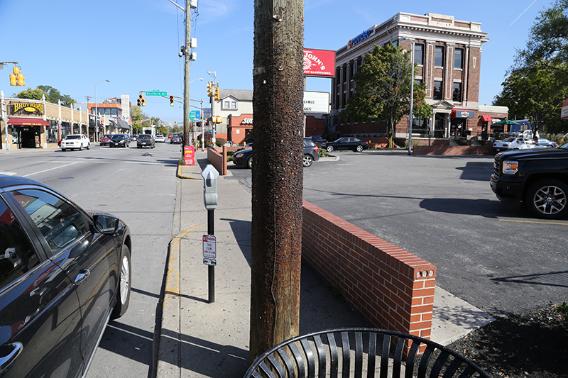 New taxi-only zone on the Avenue